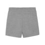 Puma teamGOAL Casuals Shorts Wmn - grau
