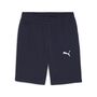 Puma teamGOAL Casuals Shorts - blau