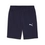 Puma teamGOAL Casuals Shorts - blau