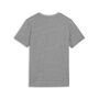 Puma teamGOAL Casuals Tee Jr - grau