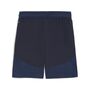 Puma teamFINAL Shorts - blau