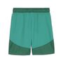 Puma teamFINAL Shorts - gr�n