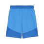 Puma teamFINAL Shorts - blau