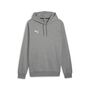 Puma teamGOAL Casuals Hoody - grau
