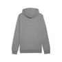 Puma teamGOAL Casuals Hoody - grau