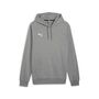 Puma teamGOAL Casuals Hoody - grau