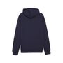Puma teamGOAL Casuals Hoody - blau