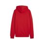 Puma teamGOAL Casuals Hoody - rot