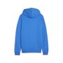 Puma teamGOAL Casuals Hoody - blau