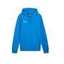 Puma teamGOAL Casuals Hoody - blau
