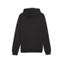 Puma teamGOAL Casuals Hoody - schwarz