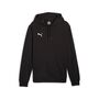 Puma teamGOAL Casuals Hoody - schwarz