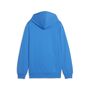 Puma teamGOAL Casuals Hoody Jr - blau