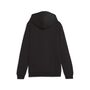 Puma teamGOAL Casuals Hoody Jr - schwarz