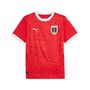 Puma �FB HOME Jersey Replica - rot