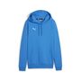 Puma teamGOAL Casuals Hoody Wmn - blau