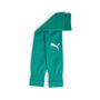 Puma teamGOAL Sleeve Sock - gr�n