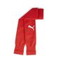 Puma teamGOAL Sleeve Sock - rot