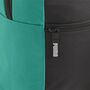 Puma teamGOAL Backpack Core - gr�n
