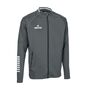 Derbystar Primo Trainingsjacke V24 - grau weiss