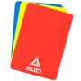 Select Schiedsrichterkarten Handball V24