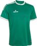 Derbystar Primo Trikot - gr�n/weiss