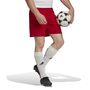adidas Entrada 22 Shorts