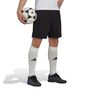 adidas Entrada 22 Training Shorts