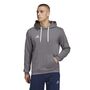 adidas Entrada 22 Sweat Hoodie