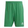 adidas Entrada 22 Shorts