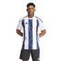 adidas Striped 24 Jsy Trikot