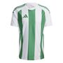 adidas Striped 24 Jsy Trikot