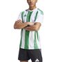 adidas Striped 24 Jsy Trikot