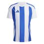 adidas Striped 24 Jsy Trikot