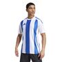 adidas Striped 24 Jsy Trikot