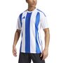 adidas Striped 24 Jsy Trikot