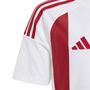 adidas Striped 24 Jsyy Trikot