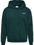 Hummel Hmlloose Hoodie Sportswear - ponderosa pine