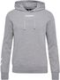 Hummel Hmlelemental Hoodie - grey melange