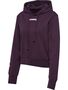 Hummel Hmlelemental Short Hoodie Woman - plum perfect