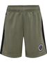 Hummel Hmlodin Shorts - dusty olive
