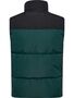 Hummel Hmlpuff Vest Sportswear - ponderosa pine