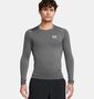 Under Armour Ua Hg Armour Comp Ls - castlerock