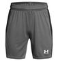 Under Armour Ua BS Ch. Knit Short - castlerock