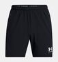 Under Armour Ua MS Ch. Pro Woven Short - black