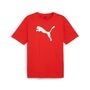 Puma teamRISE Logo Jersey Cotton - rot