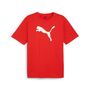 Puma teamRISE Logo Jersey Cotton - rot