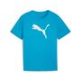 Puma teamRISE Logo Jersey Cotton Jr - blau