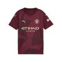Puma MCFC Third Jersey Replica Jr - rot