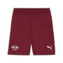 Puma RBL Shorts Replica - rot